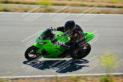 media/May-10-2024-2WTD (Fri) [[c88d7990af]]/Group C/Session 2-The Bowl/